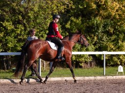 IMG_7401_web
